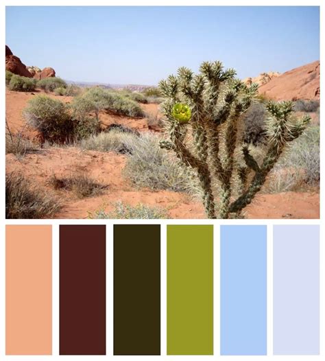 Red Rock Canyon Desert Color Palette