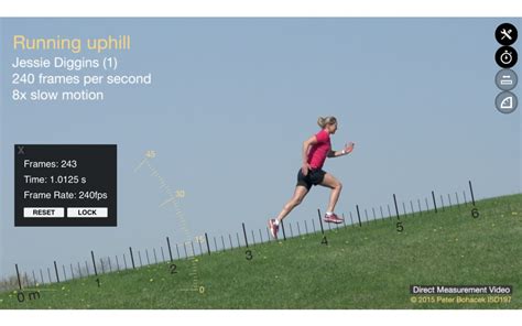 Pivot Interactives Free Fall Lab 的图像结果