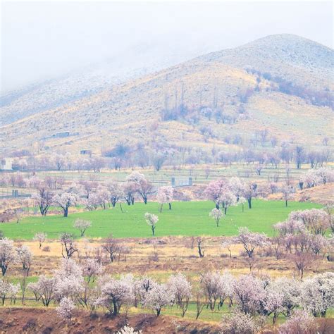 DARYAN (2025) All You Need to Know BEFORE You Go (with Photos ...