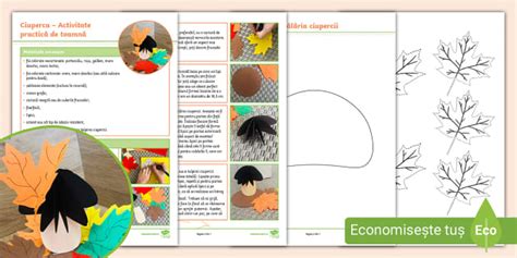 AVAP: Ciuperca – Activitate practică de toamnă - Twinkl