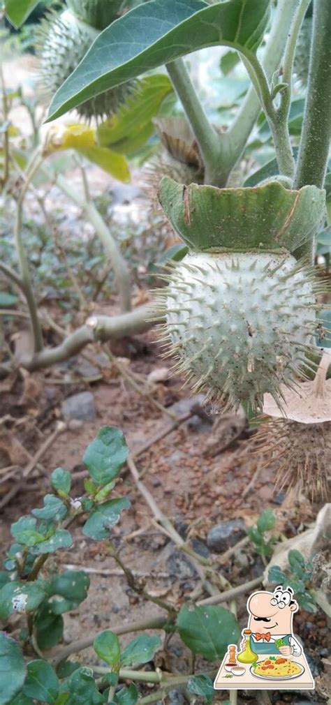 Road Side Crab Soup, Coimbatore - Restaurant reviews