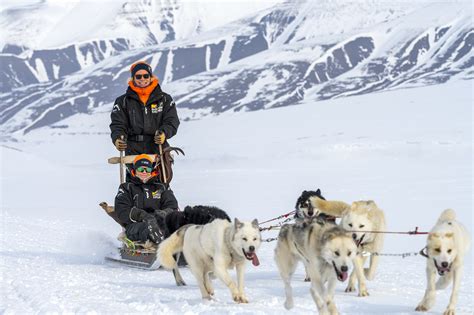 Arctic Sled Dogs