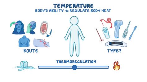Measuring Temperature - Osmosis Video Library