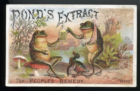 victorian frog illustration