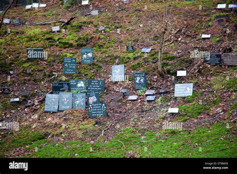 Dignity Pet Crematorium and Cemetery Grounds with Tributes in Hampshire ...