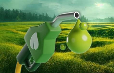 India’s Biodiesel Sector in Crisis, Industry Turns to Supreme Court ...