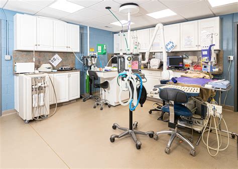 Aspen Arbor Veterinary Hospital