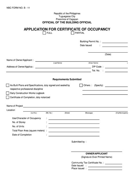 PH NBC Form B-11 - Tuguegarao - Blank Fillable Template | Fill Out ...
