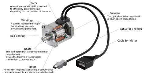 Image result for Pascal Tutorial