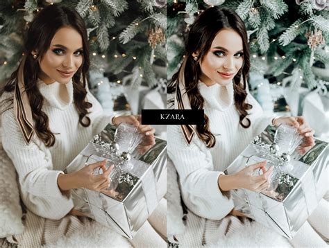 12 x Modern Christmas Presets, Interior Presets, Cold Presets (xmp/acr ...
