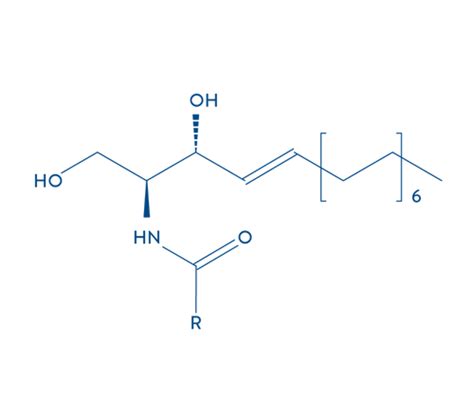 Ceramides for Skin Barrier Repair | Cetaphil India