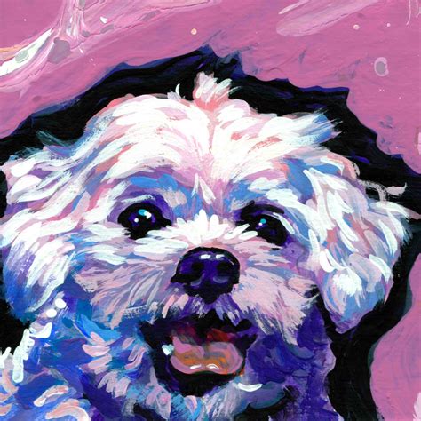 Maltese Painting at PaintingValley.com | Explore collection of Maltese Painting