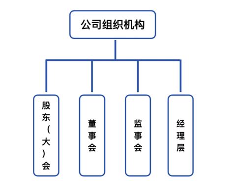 公司流水怎么查 - 财梯网