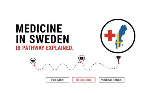 Medicine in Sweden: IB Pathway Explained.