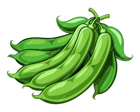 Green Beans Clip Art Realistic Vector Illustration of Fresh Green Beans ...