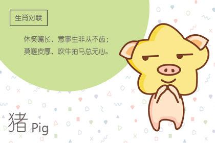 2019年12月出生属猪人命运(农历、爱情、事业运势解析)_吉星堂
