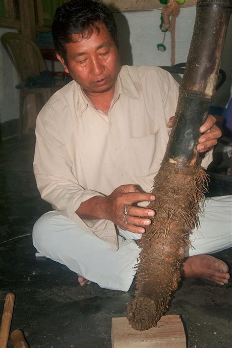 D'source Introduction | Bamboo Root Carving - Agartala, Tripura | D ...