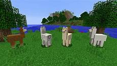 the angry llama minecraft story how to ride and breed llama in minecraft 1 11 the angry llama minecraft story how to ride and breed llama in minecraft 1 11