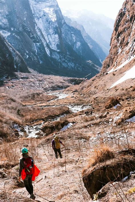 How to Train for High Altitude Hiking: Ultimate Guide for Mastering ...