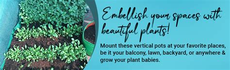 BIO BLOOMS AGRO INDIA PRIVATE LIMITED Plastic Grow Bag Dark Green ...