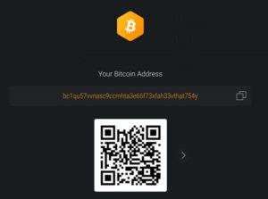 Image result for Exodus Wallet Tutorial