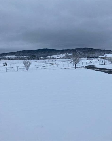 Snow in Alabama January 2022: Photos, videos from across state - al.com