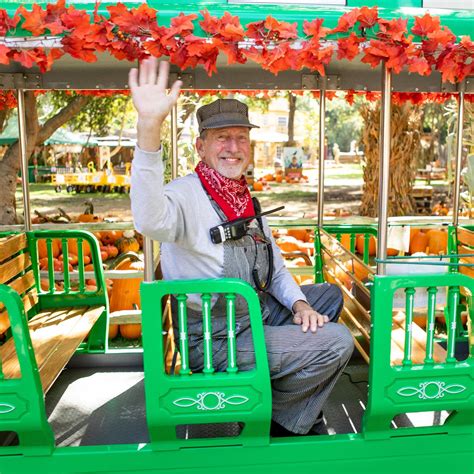 The Irvine Park Pumpkin Patch is now open - New Santa Ana