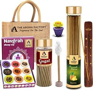 The Aroma Factory Navgrah Sambrani Dhoop Cup & Pineapple 100g & Gugal ...