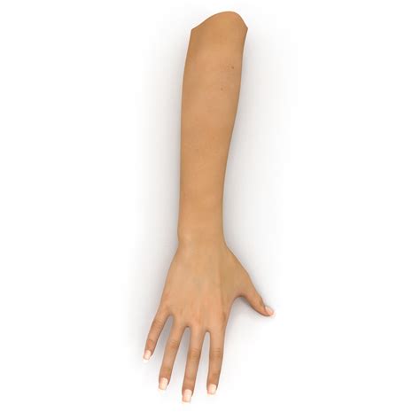 Image result for Female Hand 3D Modeling