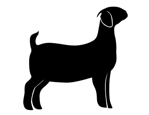 Image result for Best WA. Some Python Projects