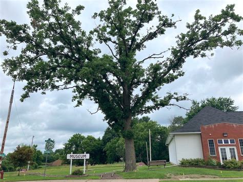 Plombon Funeral Home marks 100 years - Stanley Republican