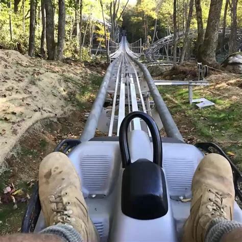 Wilderness Alpine Coaster