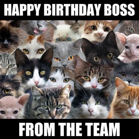 15 Funny Happy Birthday Memes For Your Boss