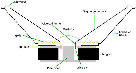 Speaker suspensions and magnets explained - Audiofanzine