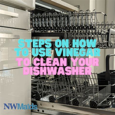 Simple Steps to Clean Your Dishwasher with Vinegar