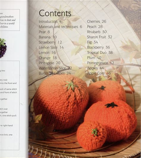 Knitted Fruit: Twenty to Make by Susie Johns ISBN - Etsy