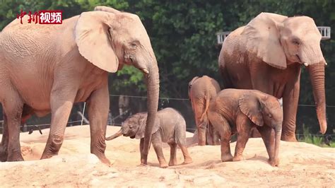 News 照片 的图像结果