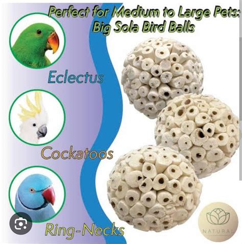 Sola Atta Balls ( Set Of 6) Make your own Toy – Ishika Bird Toys