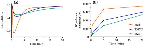 Molecular Basis for Converting (2S)-Methylsuccinyl-CoA Dehydrogenase ...