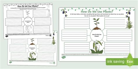 How Do We Use Plants? Mind Map
