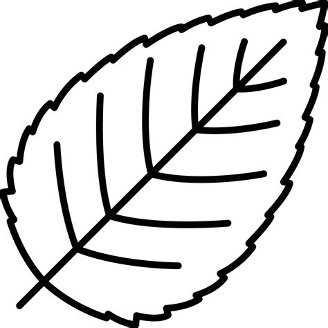 Outline Pictures Of Leaf