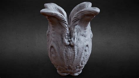 Image result for Alien Covenant Eggs