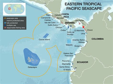 Guy Harvey Research Institute Research - Home