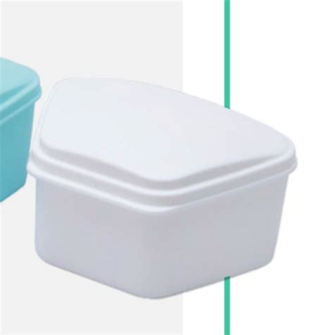 Buy Dentogenie Denture Box with Net – Oralkart