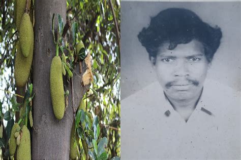 कटहल तोड़ने को लेकर हुए विवाद में पड़ोसी ने कर दी पेड़ मालिक की हत्या