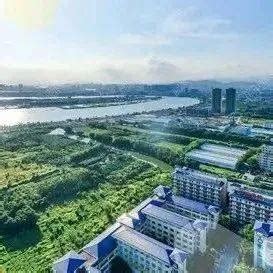 历史上的今天2月2日_2017年一尊观音像于广东省揭阳市渔湖镇榕江边发现。