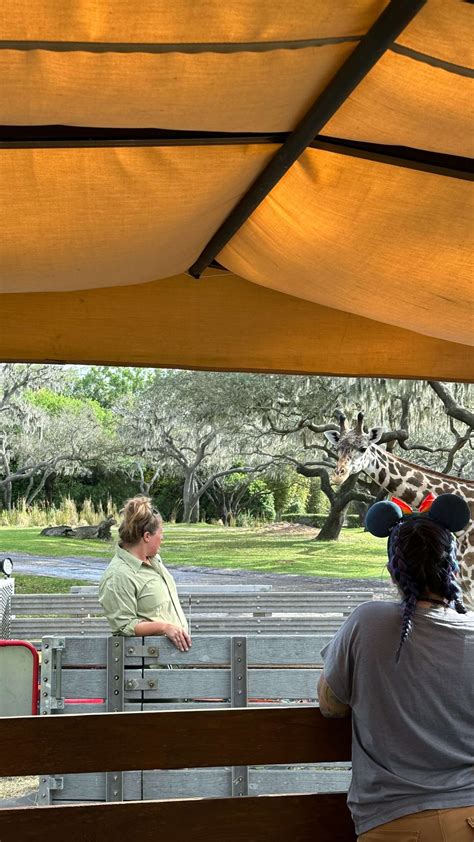 An introvert’s guide to Savor the Savanna at Disney’s Animal Kingdom ...