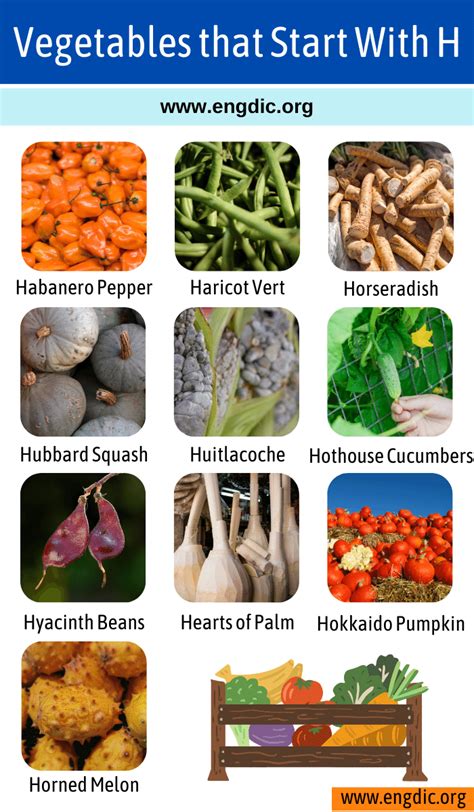 Vegetable That Start With Letter D at Everett Reynolds blog