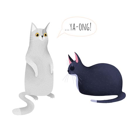 What does the cat say? :: Behance