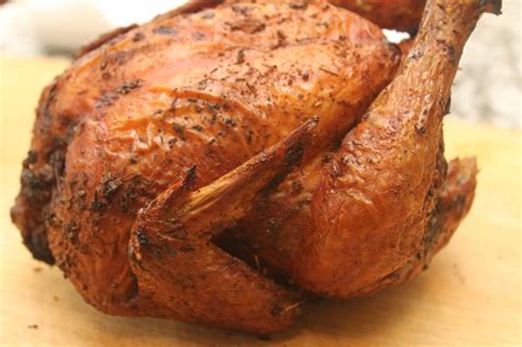 manfaat daging ayam rebus untuk kucing